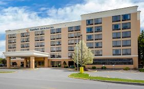 Comfort Inn And Suites Watertown Ny